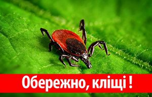 ОБЕРЕЖНО: КЛІЩІ